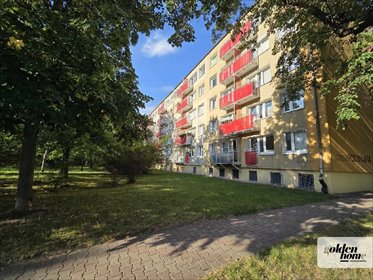 mieszkanie na wynajem 47m2 mieszkanie Poznań, Winogrady, os. Pod Lipami