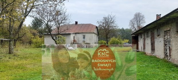 dom na sprzedaż 100m2 dom Trzciniec