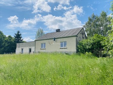 dom na sprzedaż 100m2 dom Rychława