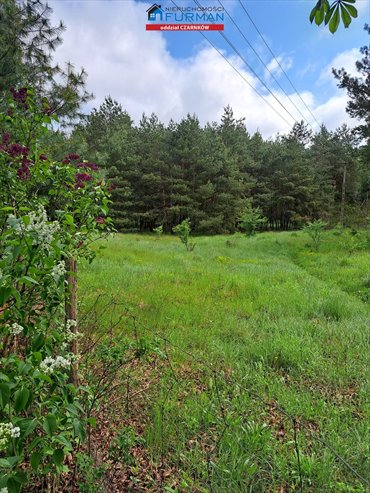 działka na sprzedaż 3333m2 działka Antoniewo