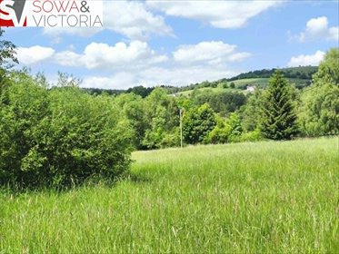 Działka 1400 m² z drzewami, plan pod zabudowę, spokój działka Sierpnica