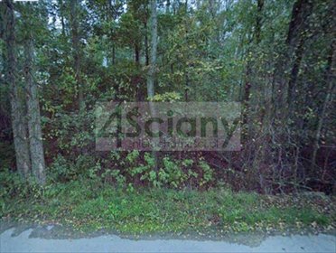 działka na sprzedaż 4000m2 działka Książenice