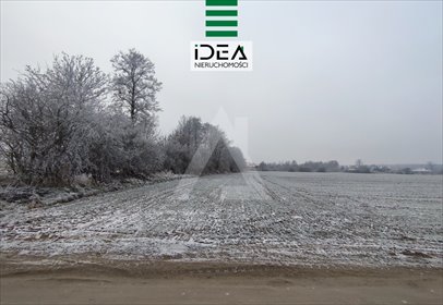 działka na sprzedaż 21512m2 działka Żołędowo