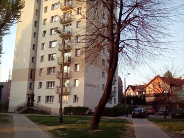 mieszkanie na wynajem Chorzów Centrum Chałupki 25 m2
