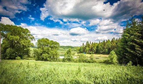 Działka inwestycyjna na sprzedaż Chrewt 29 900m2 Foto 2