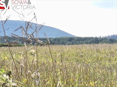 działka na sprzedaż 2033m2 działka Lubomin