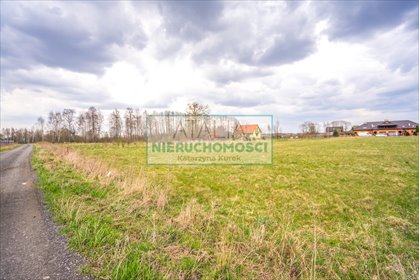 Działka 8 300 m² z mediami, dojazd z dwóch stron działka Jaktorów-Kolonia
