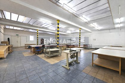 lokal użytkowy na sprzedaż 420m2 lokal użytkowy Chełmsko Śląskie