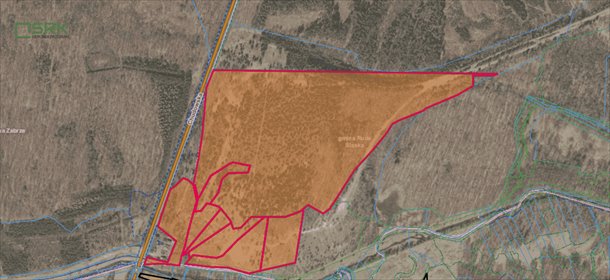 Działka na hałdzie Borowa - 20 ha, las, zieleń, dostęp. działka Ruda Śląska, Halemba, Chudowska