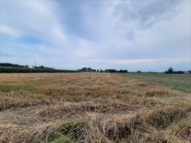 Działka rolna na sprzedaż Żurawieniec 22 500m2 Foto 3