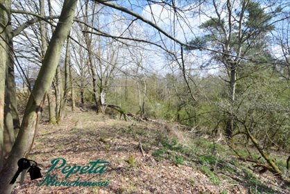 Działka rolna na sprzedaż Uzarzewo, Katarzynki 16 100m2 Foto 4