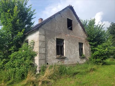 Urokliwe siedlisko z domem do remontu i budynkami - 4263 m² dom Łebki Duże