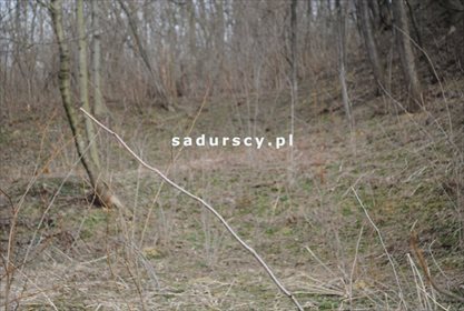 Działka leśna na sprzedaż Malkowice 4 800m2 Foto 5