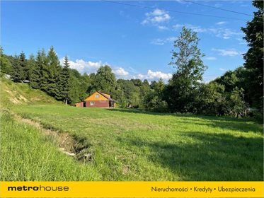 Działka rolna na sprzedaż Rybne, Solina 2 374m2 Foto 3