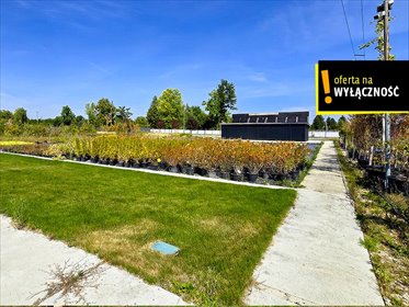 działka na sprzedaż 24139m2 działka Celiny