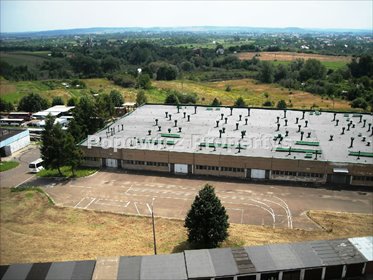 lokal użytkowy na wynajem 6000m2 lokal użytkowy Przemyśl, Monte Cassino
