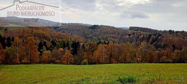 Działka budowlana na sprzedaż Żarnowa 9 900m2 Foto 1