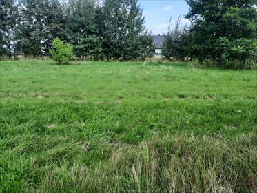Działka budowlana na sprzedaż Leśna 7 700m2 Foto 6