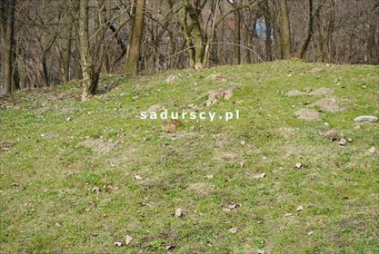 Działka leśna na sprzedaż Malkowice 4 800m2 Foto 3