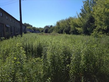 działka na wynajem 2500m2 działka Błonie