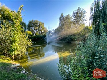 Lokal użytkowy na sprzedaż Gierłachowo 3 500m2 Foto 4