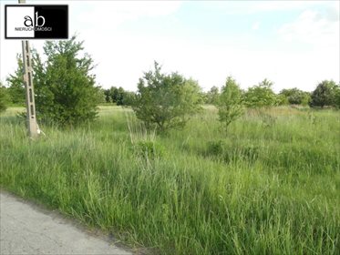 Działka budowlana na sprzedaż Stary Kocin 1 600m2 Foto 3