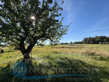 Działka 1373 m² w spokojnym Jakubowie - polecam! działka Jakubów