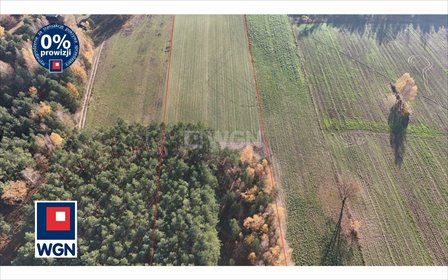 Sprzedam działkę 15 294 m² z potencjałem inwestycyjnym działka Popielżyn Dolny, Popielżyn Dolny