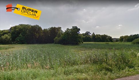 Działka budowlana na sprzedaż Wielkie Drogi 2 300m2 Foto 4