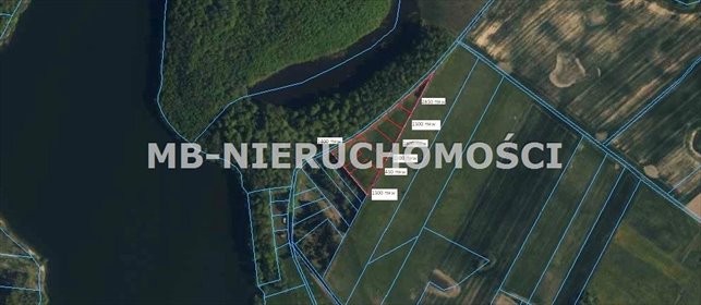 Sprzedam działkę 11 700 m² nad jeziorem Jaśkowskim działka Skarpa