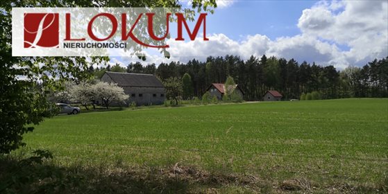 działka na sprzedaż 3058m2 działka Góra