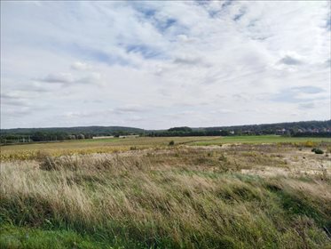 Działka budowlana na sprzedaż Osolin, Oborniki Śląskie 2 718m2 Foto 4