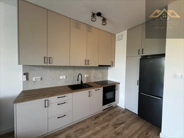 mieszkanie na wynajem 37m2 mieszkanie Tarnów