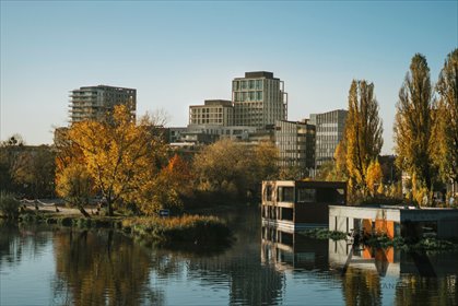 mieszkanie na sprzedaż 99m2 mieszkanie Wrocław, Walońska