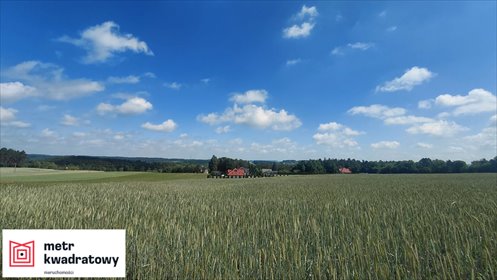 Działki budowlane w spokojnej okolicy, media w sąsiedztwie działka Bartniczka, Bartniczka