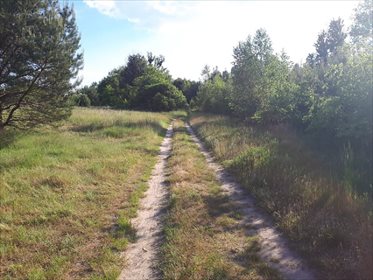 Działka budowlana na sprzedaż Wójcice, Jelcz-Laskowice 61 612m2 Foto 1