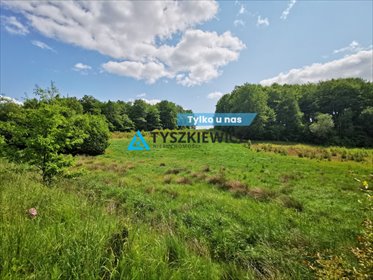 działka na sprzedaż 2997m2 działka Trzepowo, Cystersów