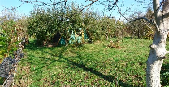 działka na sprzedaż 300m2 działka Radom, białostocka