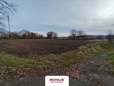 działka na sprzedaż 12200m2 działka Wojcieszyn