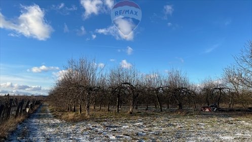 działka na sprzedaż 19400m2 działka Turowice