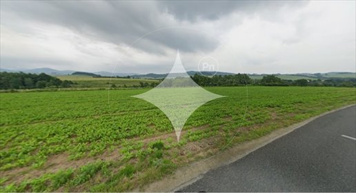 działka na sprzedaż 38600m2 działka Jaszkowa Dolna