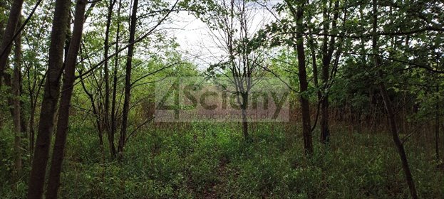 Zapraszam do zakupu działki 1274 m² pod dom z mediami działka Stanisławów Drugi
