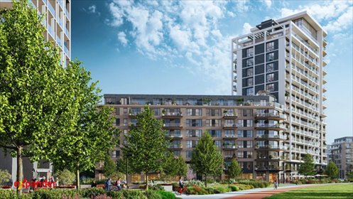 Nowoczesne mieszkanie 33 m² na Szczepinie - polecam mieszkanie Wrocław, Szczepin, Marchijska