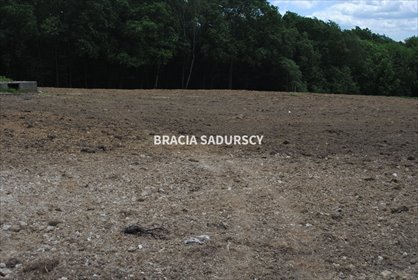 Działka budowlana na sprzedaż Jankówka 10 518m2 Foto 7