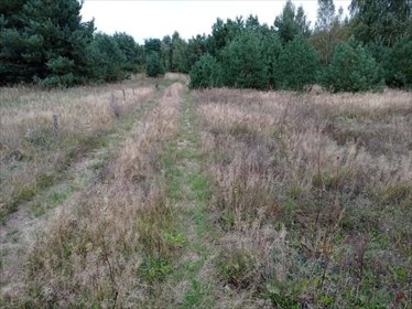 działka na sprzedaż 3167m2 działka Koźle
