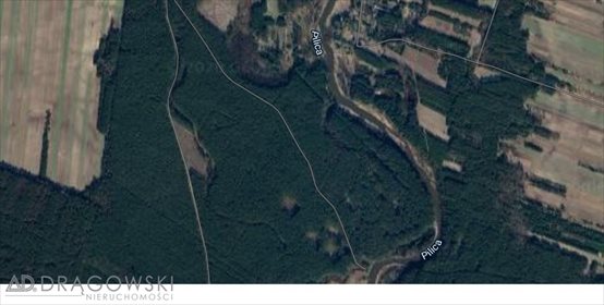 Lokal użytkowy na sprzedaż Biała 500m2 Foto 2
