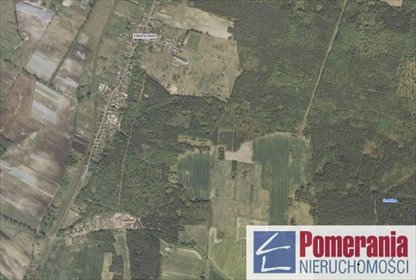 Działka rolna 13732 m² w Daleszewie - zapraszam działka Daleszewo