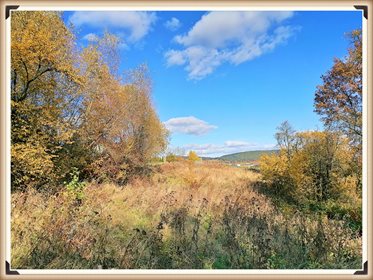 Działka inna na sprzedaż Długołęka-Świerkla 6 124m2 Foto 4