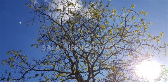 działka na sprzedaż 1534m2 działka Serock