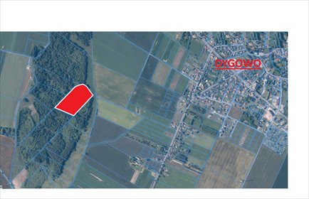 Do sprzedania działka 3,14 ha lasem w Dygowie działka Dygowo